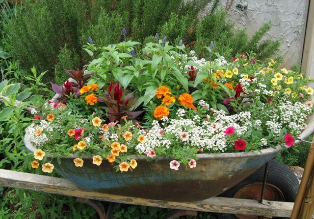 10 DIY Wooden Wheelbarrow Planter | DIY to Make