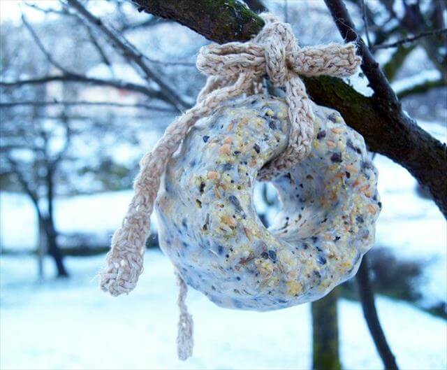 8 DIY Homemade Birdseed Wreath DIY to Make