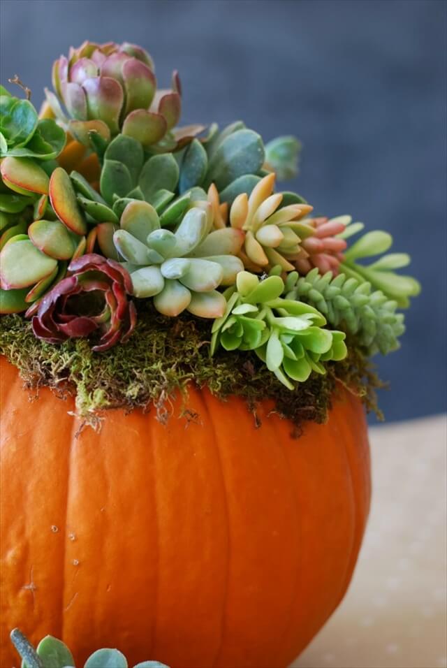 13 DIY Thanksgiving Centerpiece | DIY to Make