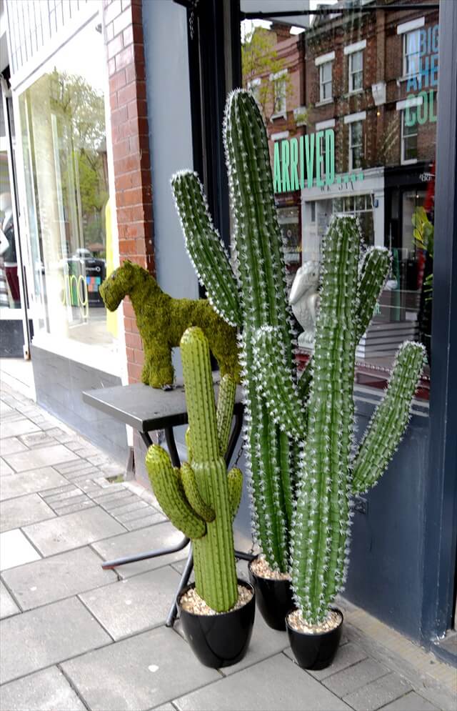 10 DIY Cactus Inspired Crafts | DIY to Make