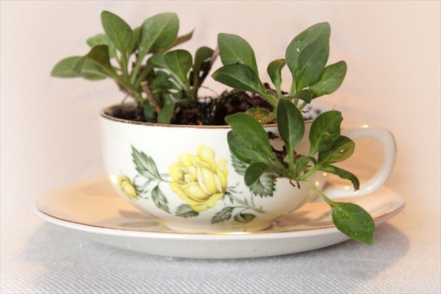 15 Reuse Teacups Teapot Ideas Diy To Make Teacup Planter