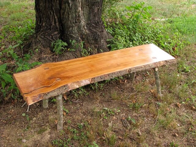 Bartlett Pear rustic bench with log legs