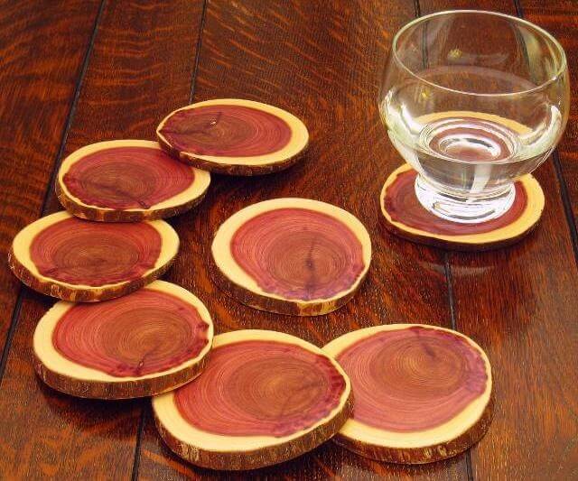 Coasters Made from a Log