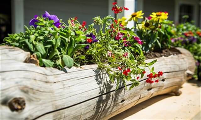 Old Wood Log Planter Project: