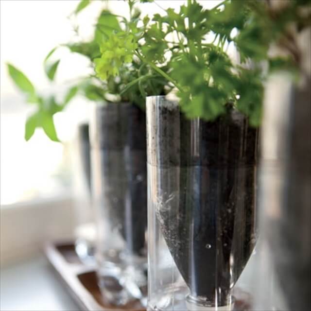 16 Recycled Bottle Planters | DIY to Make