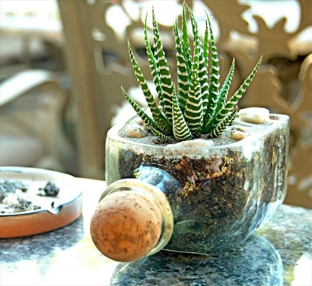 16 Recycled Bottle Planters | DIY to Make