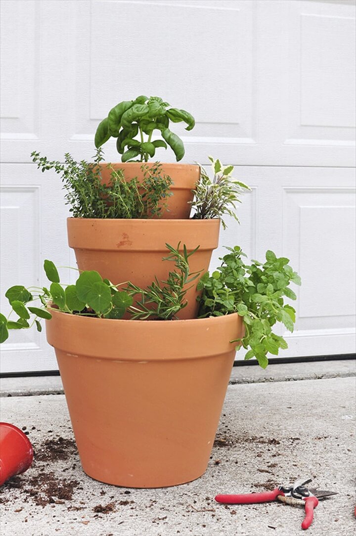 Herb Gardens To Practice Your Green Thumb With | DIY to Make