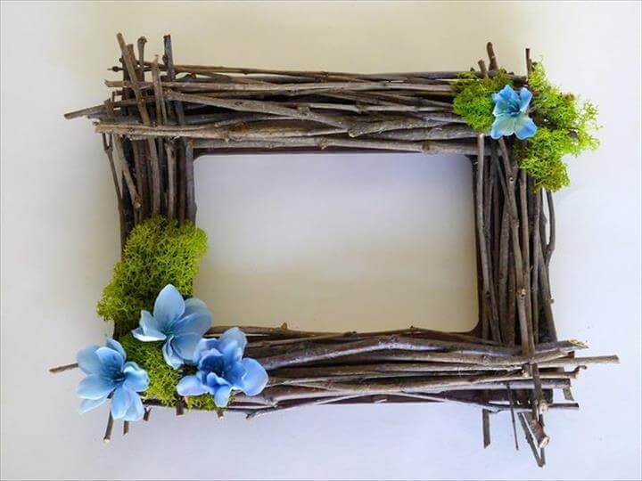 tree branches photo frame