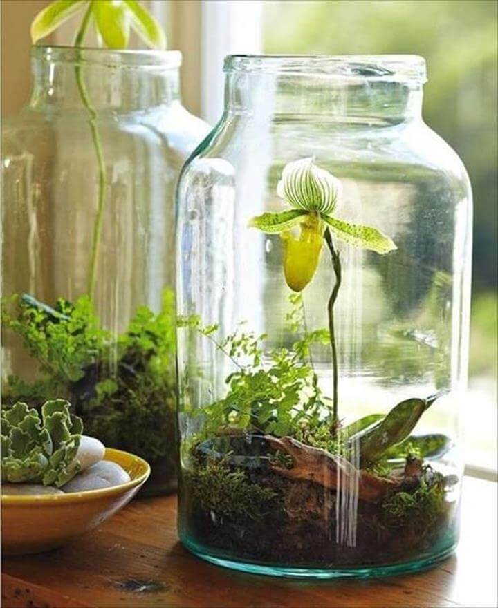 45 New Planter Ideas For Using Mason Jars Diy To Make Diy Mason Jar Garden Planter
