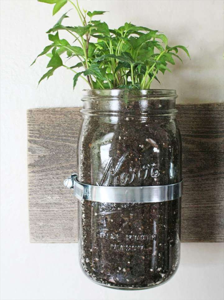 Learn How to Make Your Own DIY Mason Jar Wall Planter Her mason jar wall planter is simple, sturdy, and perfect for housing vine plants that usually like to hang, and also doubles as an easy way to use up some of those extra canning supplies. The double row of planters definitely brings some life to an open wall, and I think that they’d be perfect for starting seedlings indoors come spring.