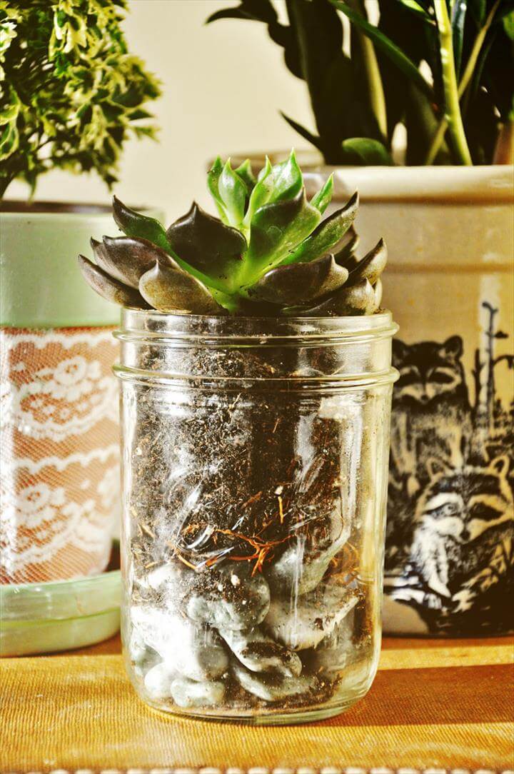 45 New Planter Ideas For Using Mason Jars DIY to Make
