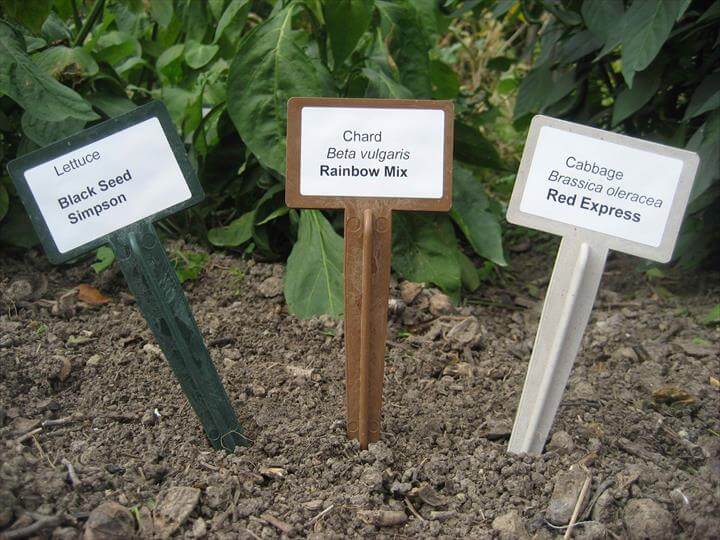 Cobrahead Plant Markers