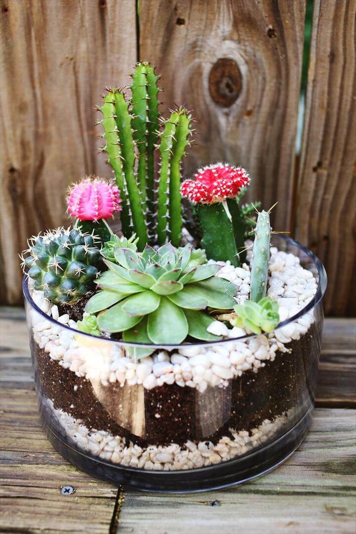 cute resin cactus planter
