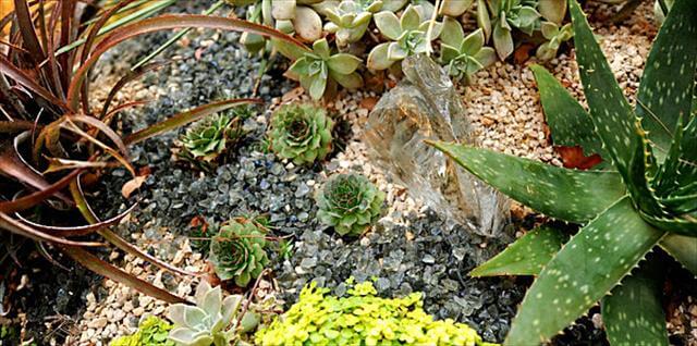 10 DIY Garden Projects