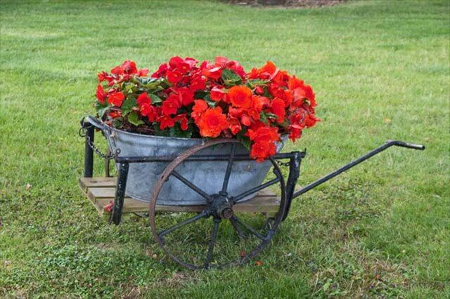 10 DIY Wooden Wheelbarrow Planter