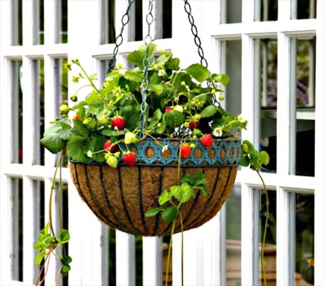 10 Diy Hanging Basket Vertical Garden