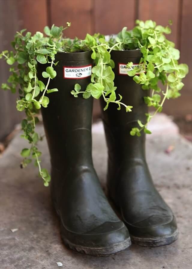 22 DIY Shoes Planter Ideas