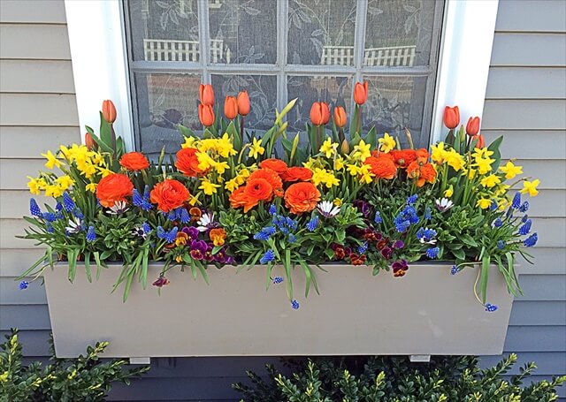 17 Diy Window Box Design