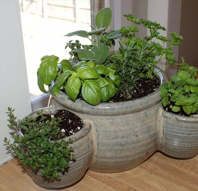 14 DIY Indoor Garden Ideas