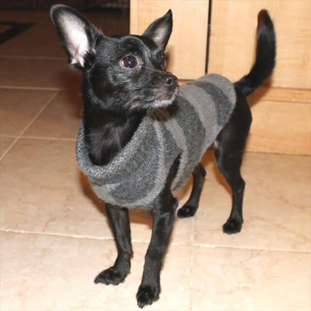 37 DIY Old Sweaters Into Something New