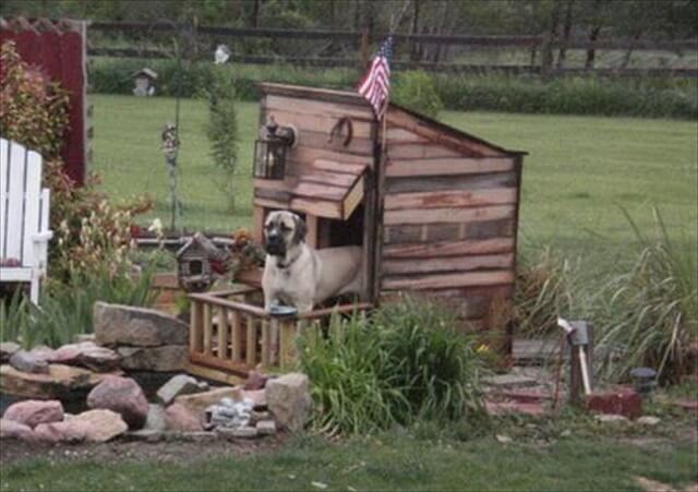 11 DIY Pallet Doghouse Ideas