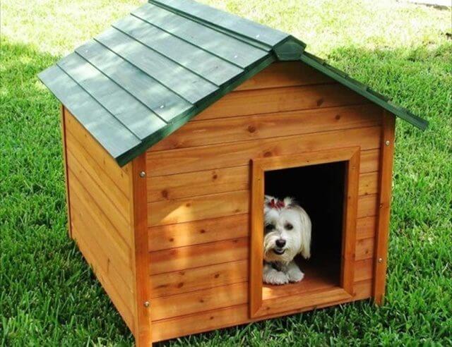 easy pallet dog house