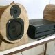 DIY Wood Log Speakers: