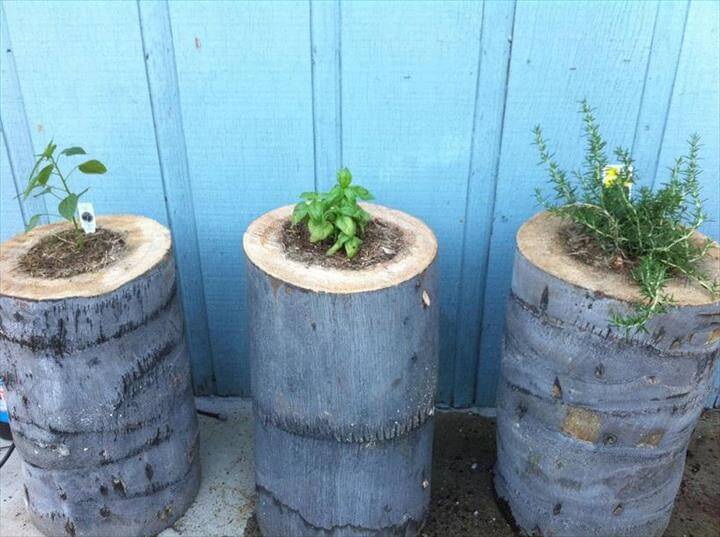 45 Amazing Ideas With Recycled Tree Trunks