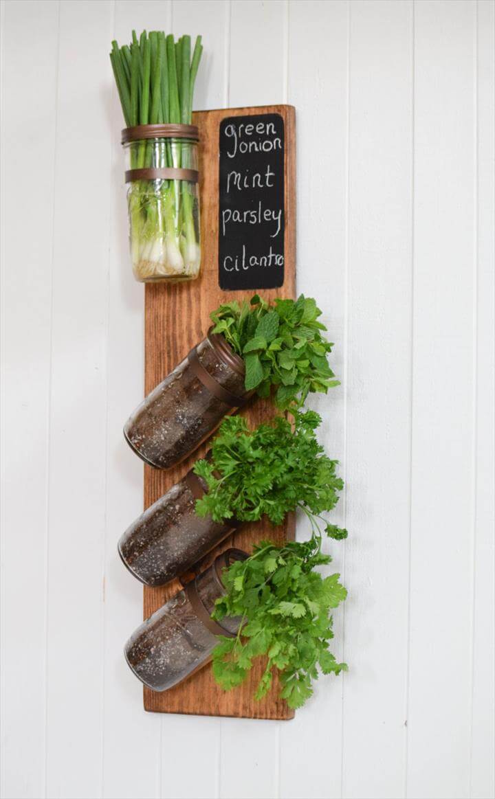 Best Indoor Herb Garden Self Watering - Best Indoor Herb Pots