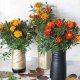 DIY flower vase out of plastic bottles