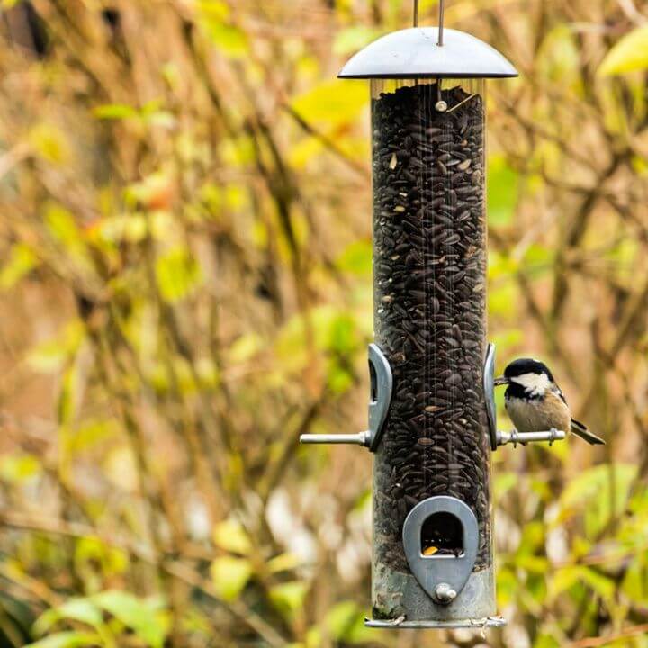 16 Diy Bird Feeder Easy Diy Plans For Your Bird