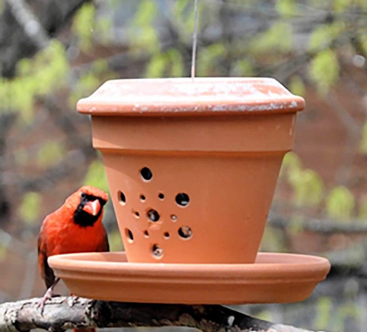 16 Diy Bird Feeder Easy Diy Plans For Your Bird