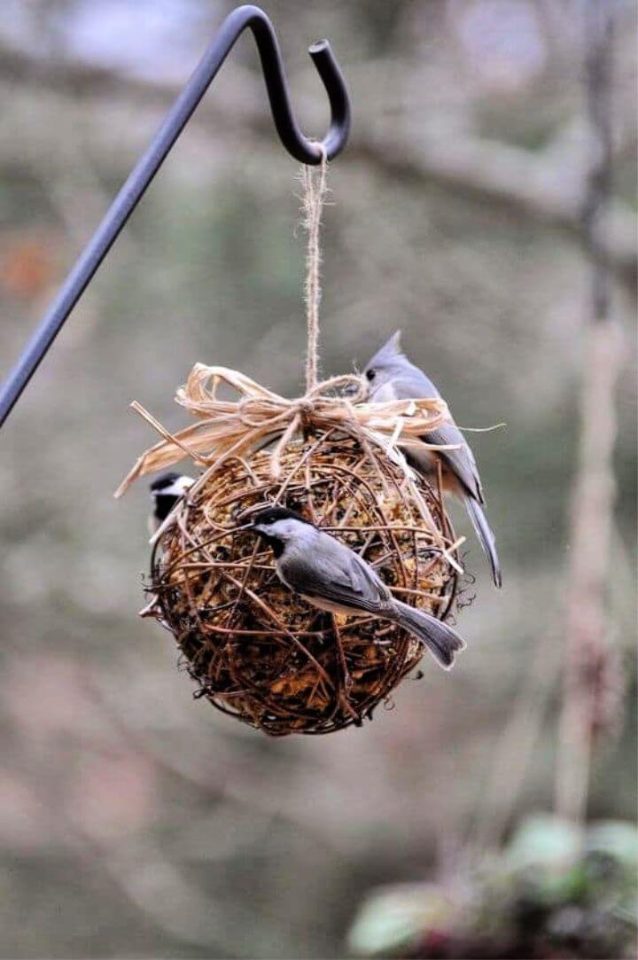 16 Diy Bird Feeder Ideas Easy Simple Diy To Make