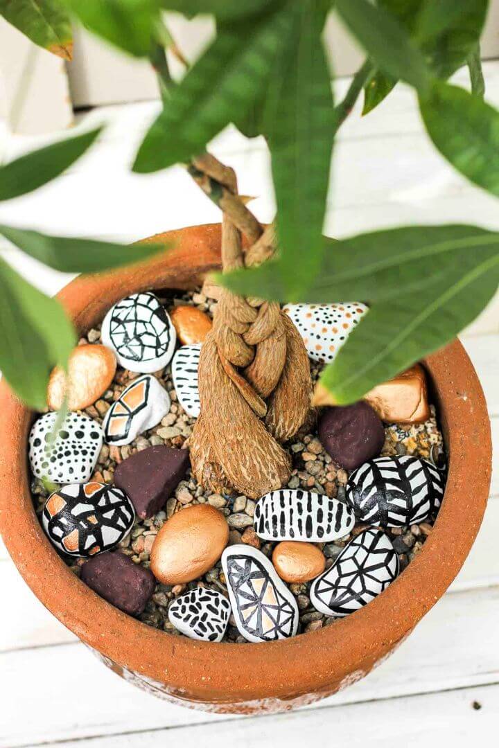 Potted Plant Accents-Hand Painted Rocks Potted Plant Accents Hand Painted Rocks