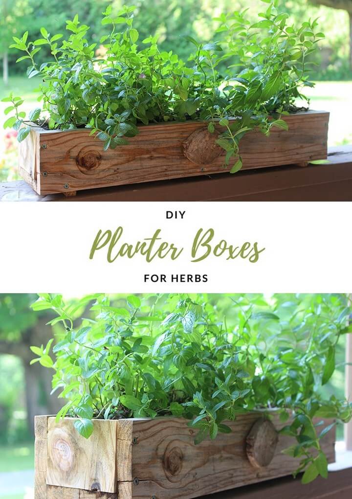 10 Magical DIY Easy Planter Ideas For Summer – DIY to Make