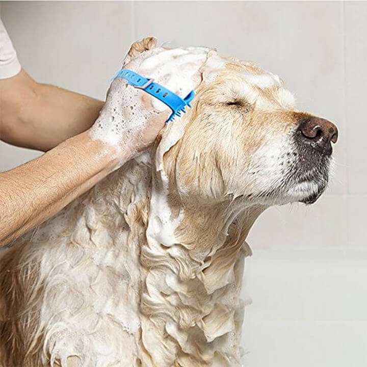 DIY Dog Bathing System