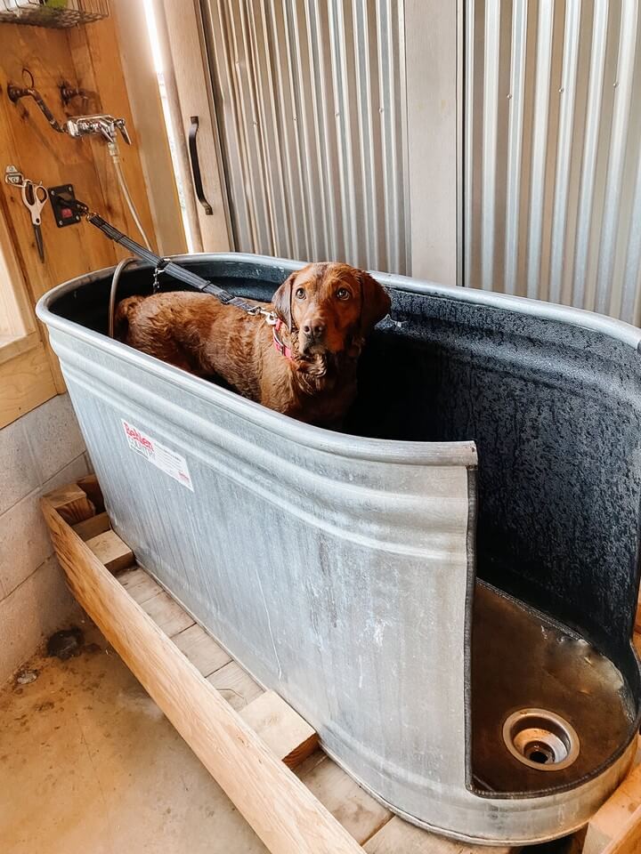 32 Best Diy Dog Washing Ideas That You Will Love To Make 32 Best Diy Dog Washing Ideas That You, Outdoor Dog Wash Station