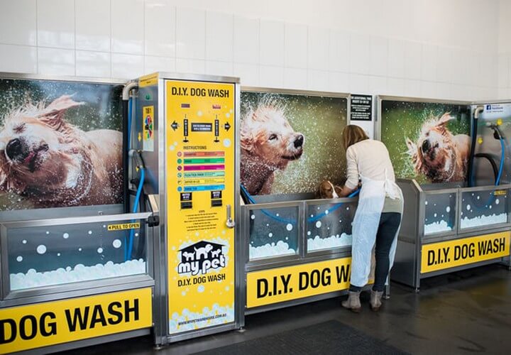 32 Best DIY Dog Washing Ideas That You Will Love – DIY to Make