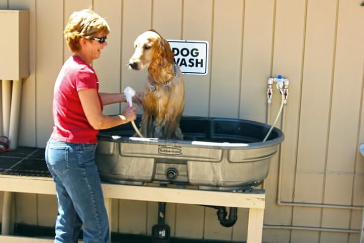 homemade dog wash station