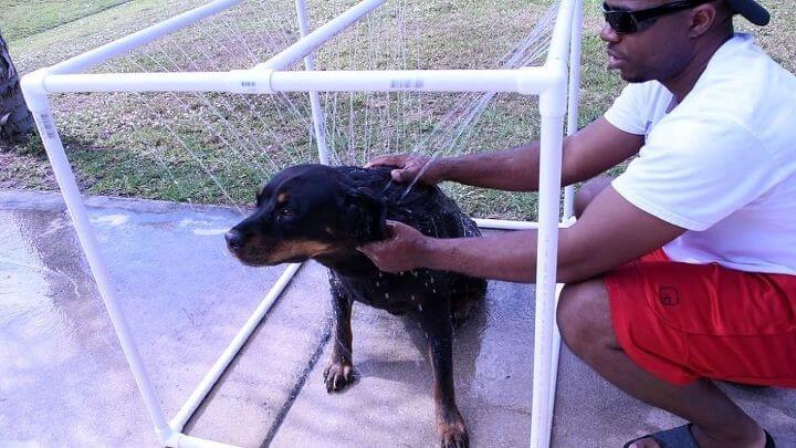 PVC Outdoor Dog Shower DIY