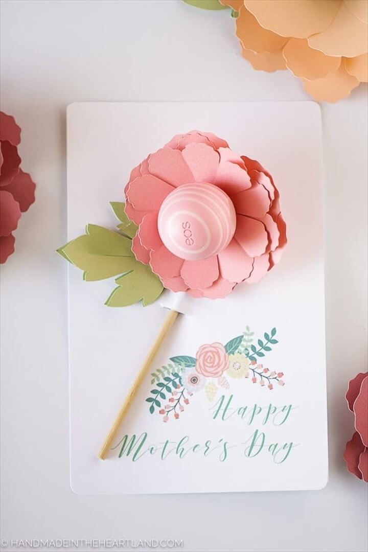 Mother’s Day Eos Flower Gift