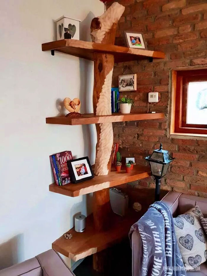 15 Cool Tree Stump Ideas To Make Useful Things DIY to Make