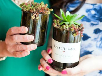 Wine Bottle Succulent Planters