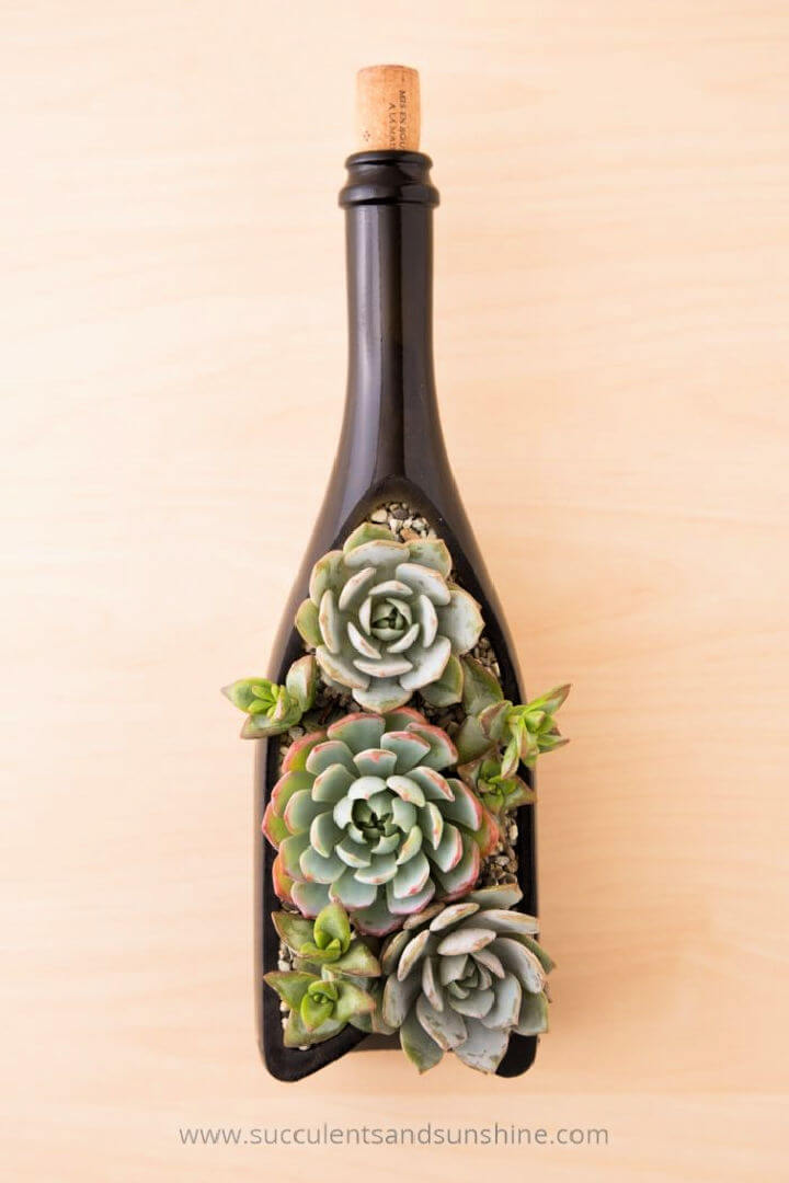 Succulent Wine Bottle Centerpiece