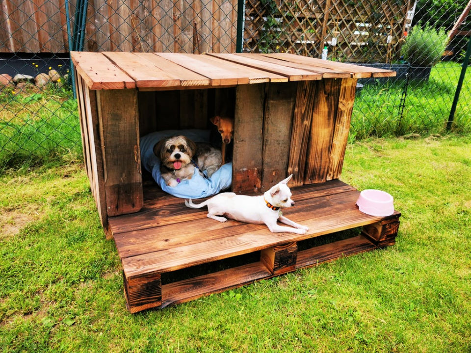 15 Free Diy Pallet Dog House Plans, Small Wooden Dog House Plans