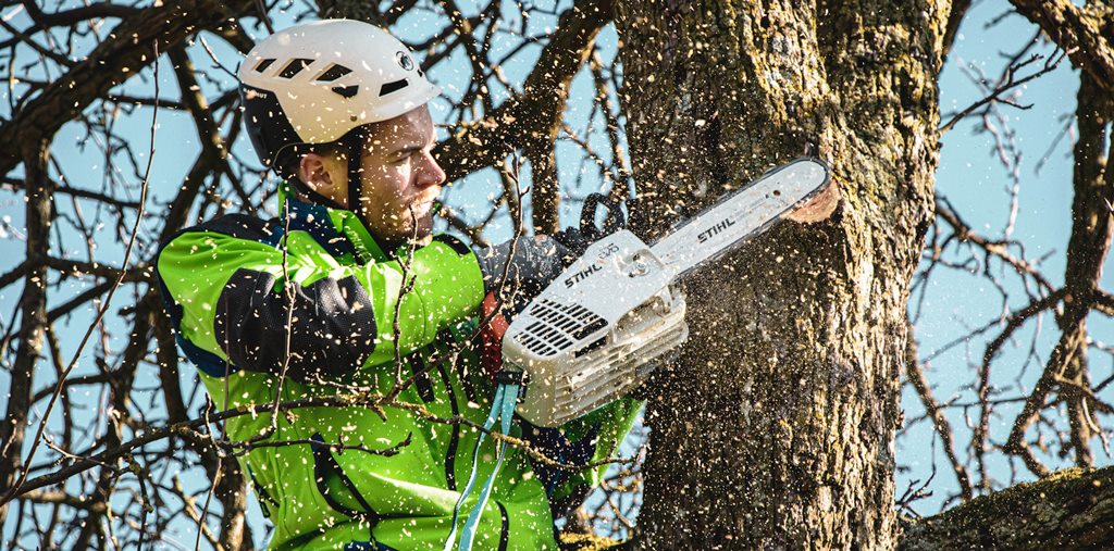 Advantages of Tree Removal Services