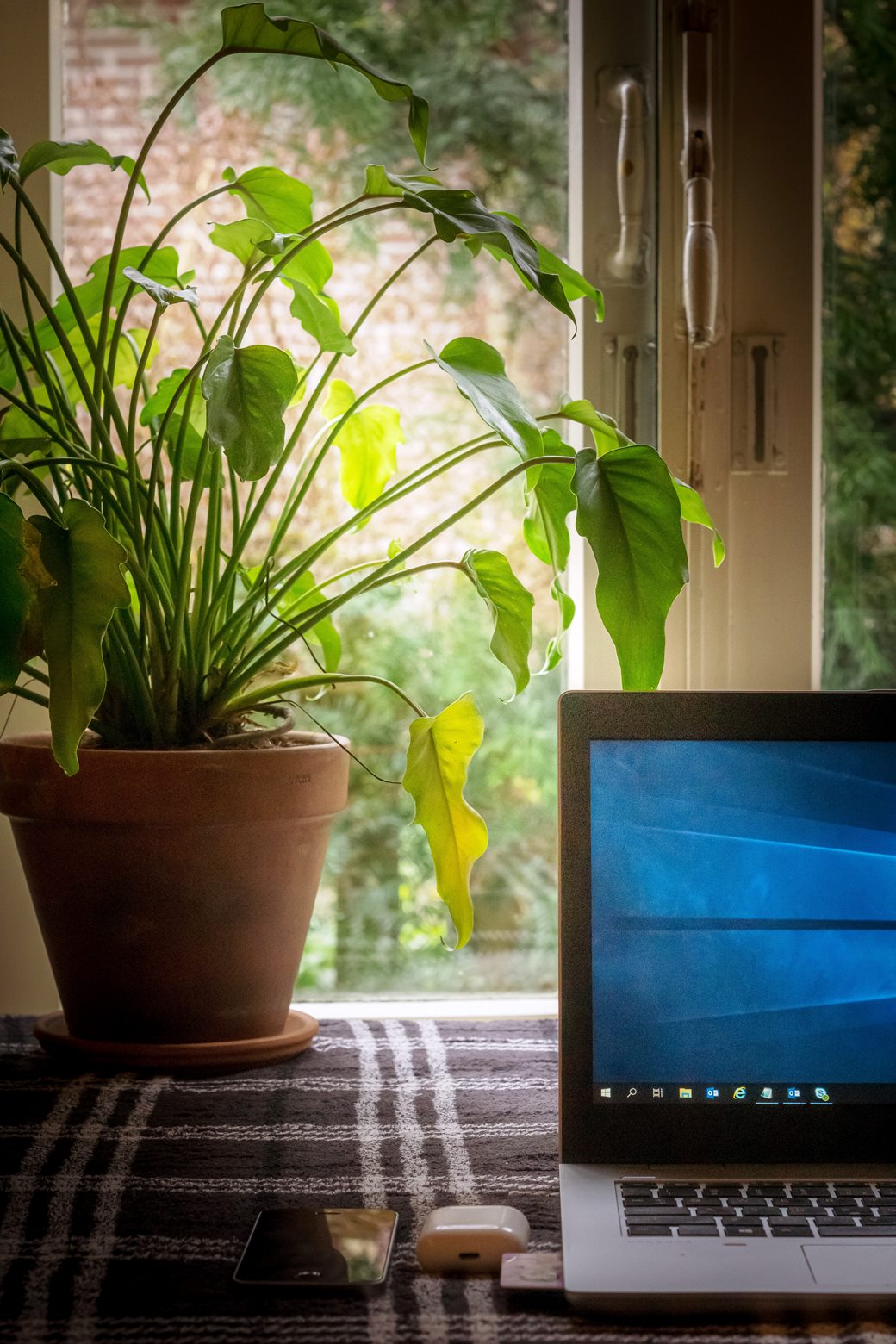 Pros of Working From Home in a Garden Office